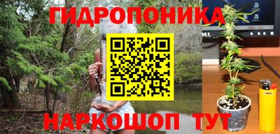 спайс Гусь-Хрустальный